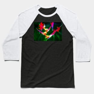 Bird of Paradise Baseball T-Shirt